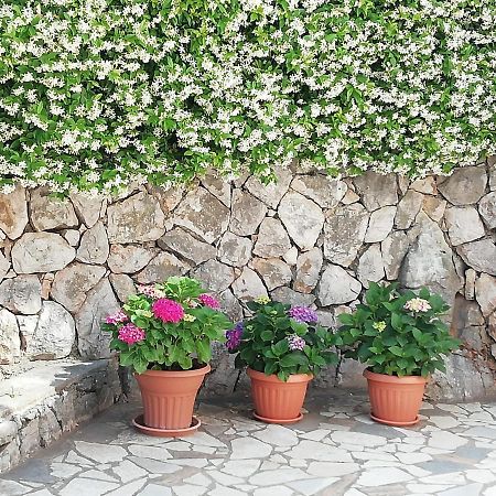 Villa Gromaca Omišalj Exterior foto